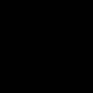 Meet your Posher, Natasha